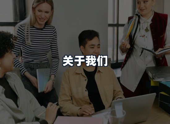 关于我们