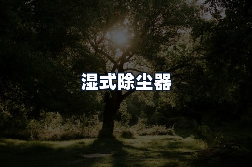 湿式除尘器